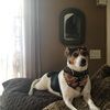 tim_mcdavitt